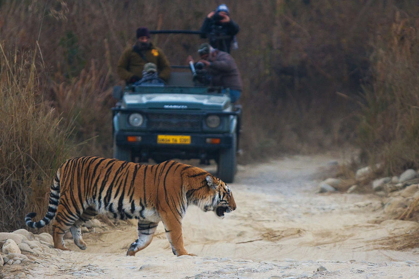 Jim Corbett - Nainital